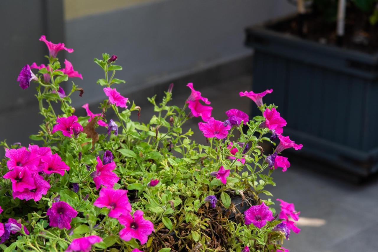 La Fonderia Firenze Bed & Breakfast Exterior photo